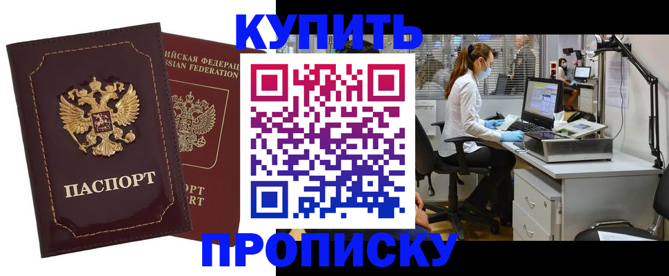 прописка гарантия в Братске